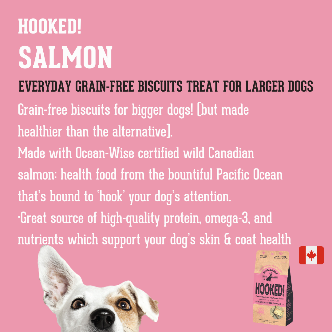 The Granville Island Pet Treatery - HOOKED! (Salmon Biscuit, Grain Free dog treat)