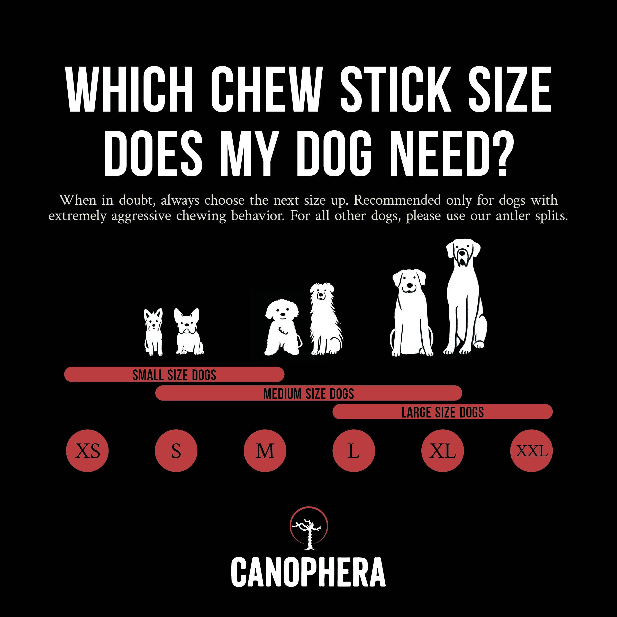 CANOPHERA LLC - Dog Chew Made of Red Deer Antlers