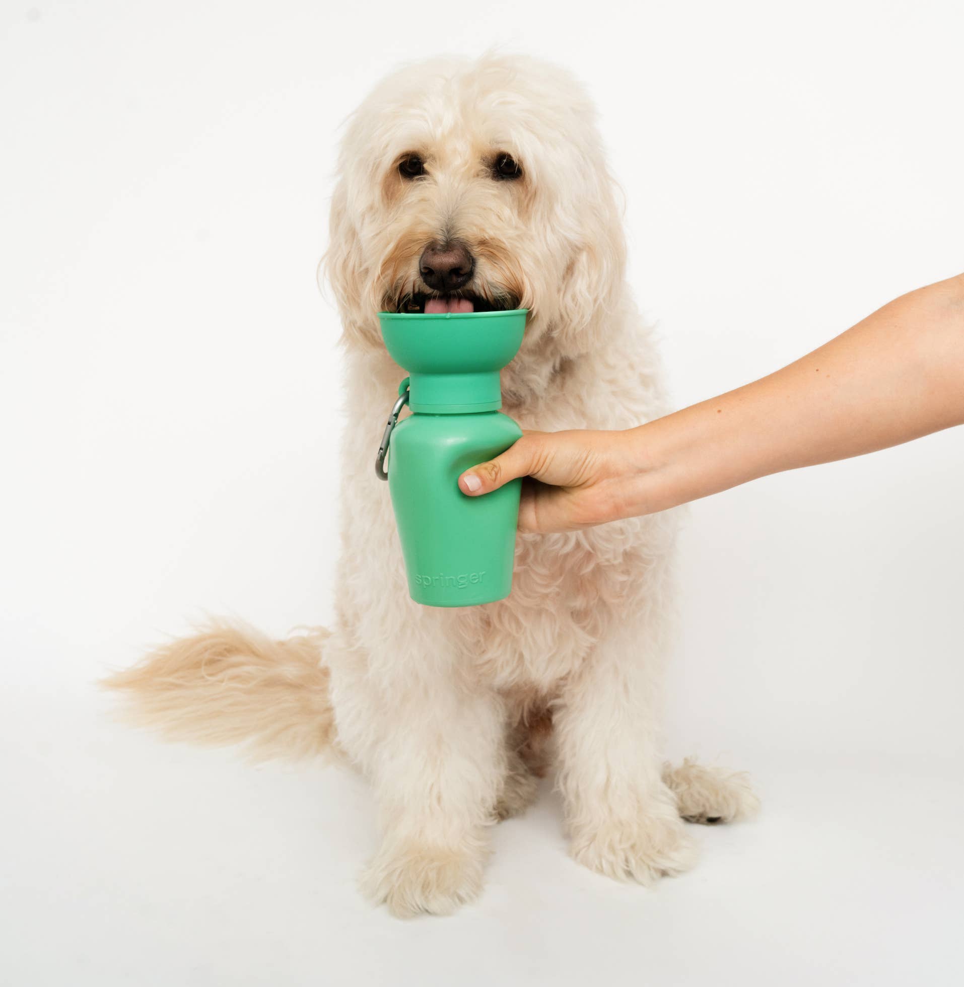 Springer - Dog Travel Water Bottle | Flip 20 oz |