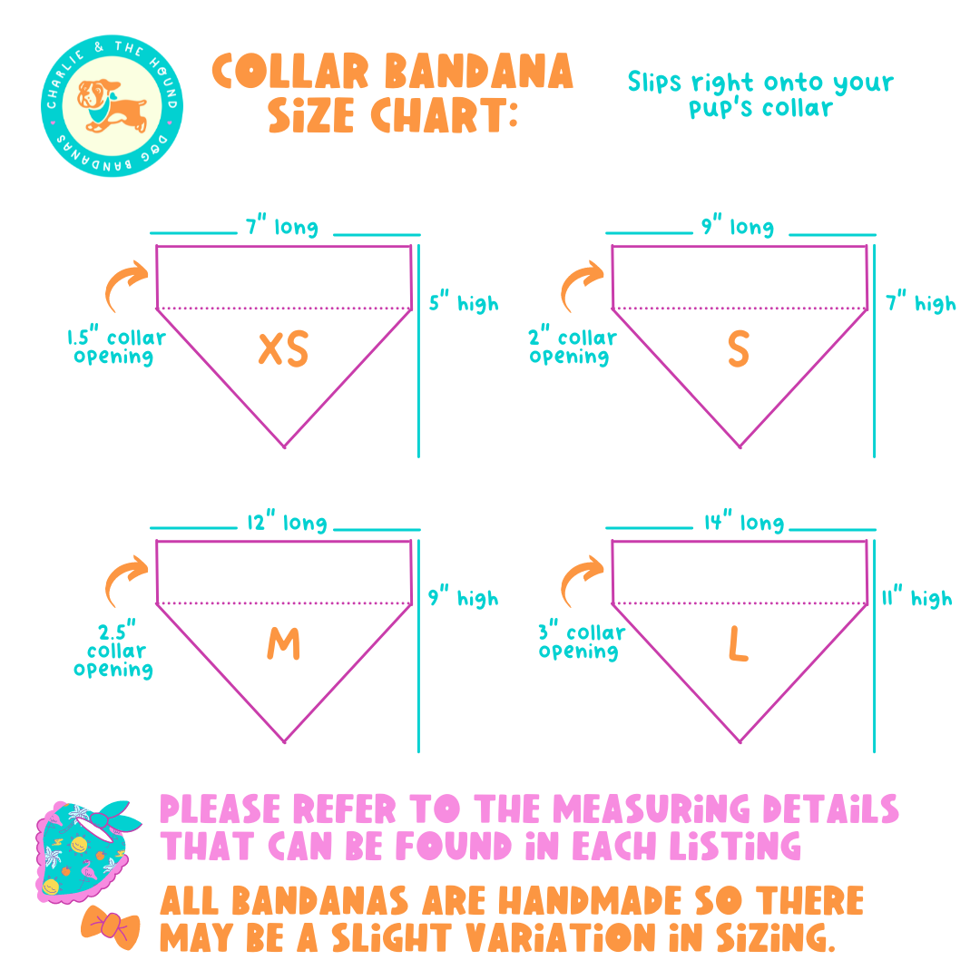 Cookie Tester - Reversible Dog Collar Bandana