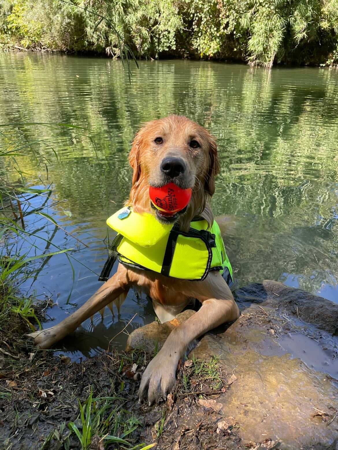 Spunky Pup - Fetch and Glow Ball
