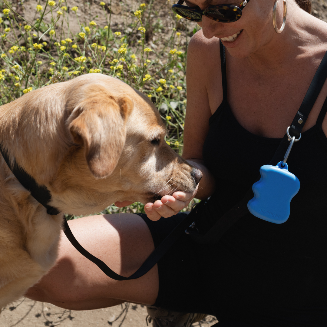 Springland Pets - Silicone Dog Treat Dispenser