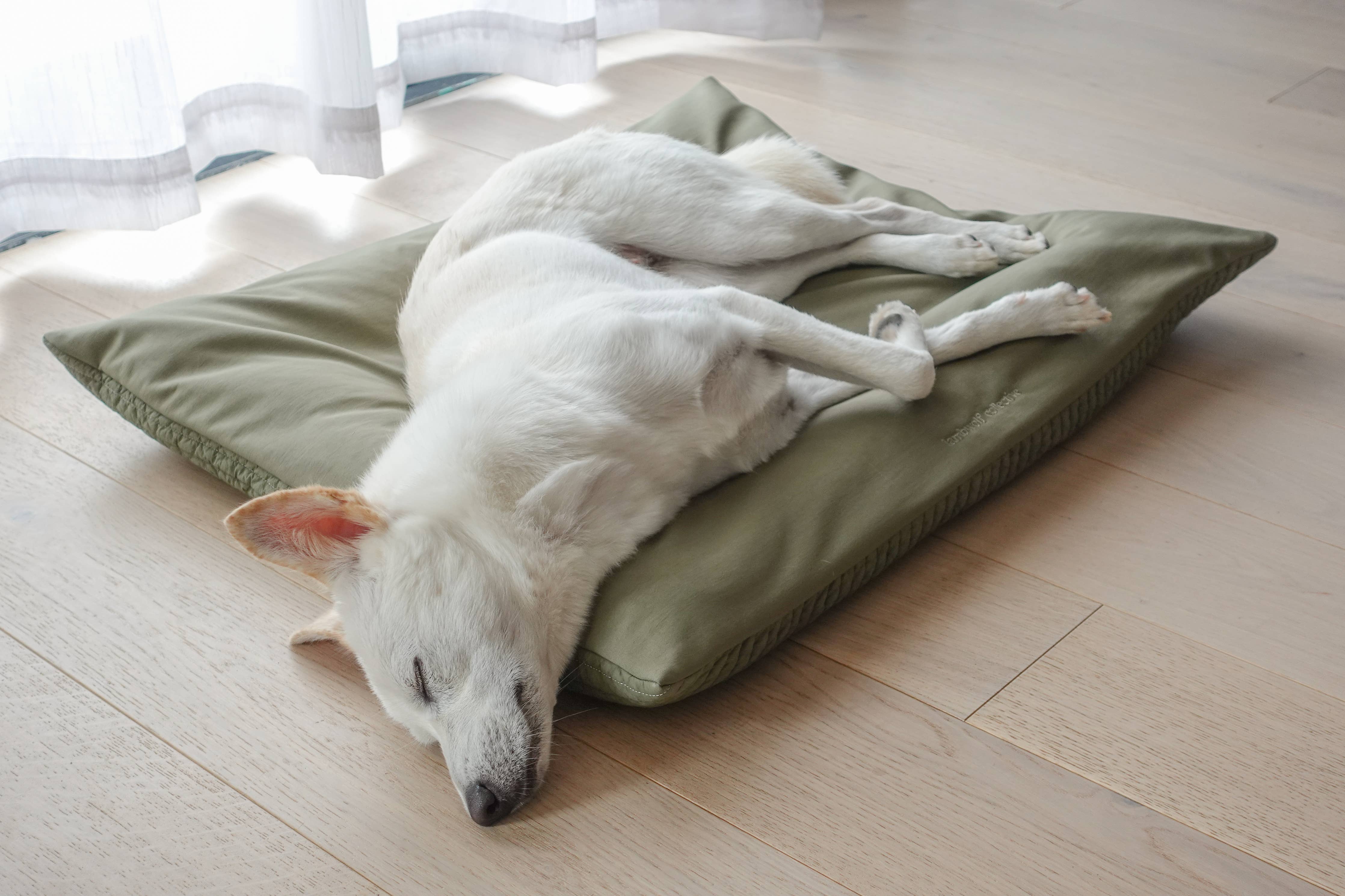 MAATIN | PET BED//DOG BED: Small / Fern