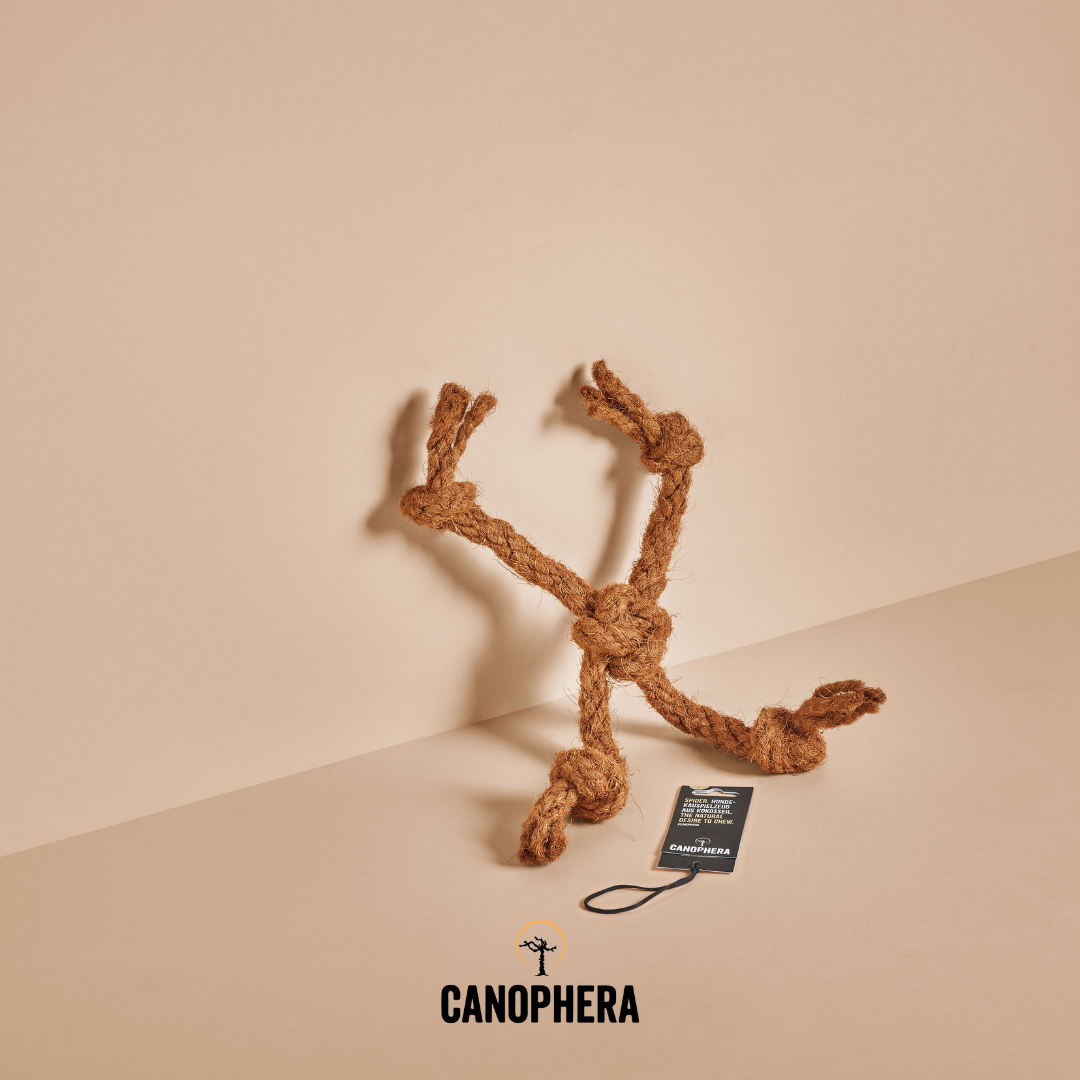 CANOPHERA LLC - Dog Toy Made Of Coconut Rope - CocoSpider