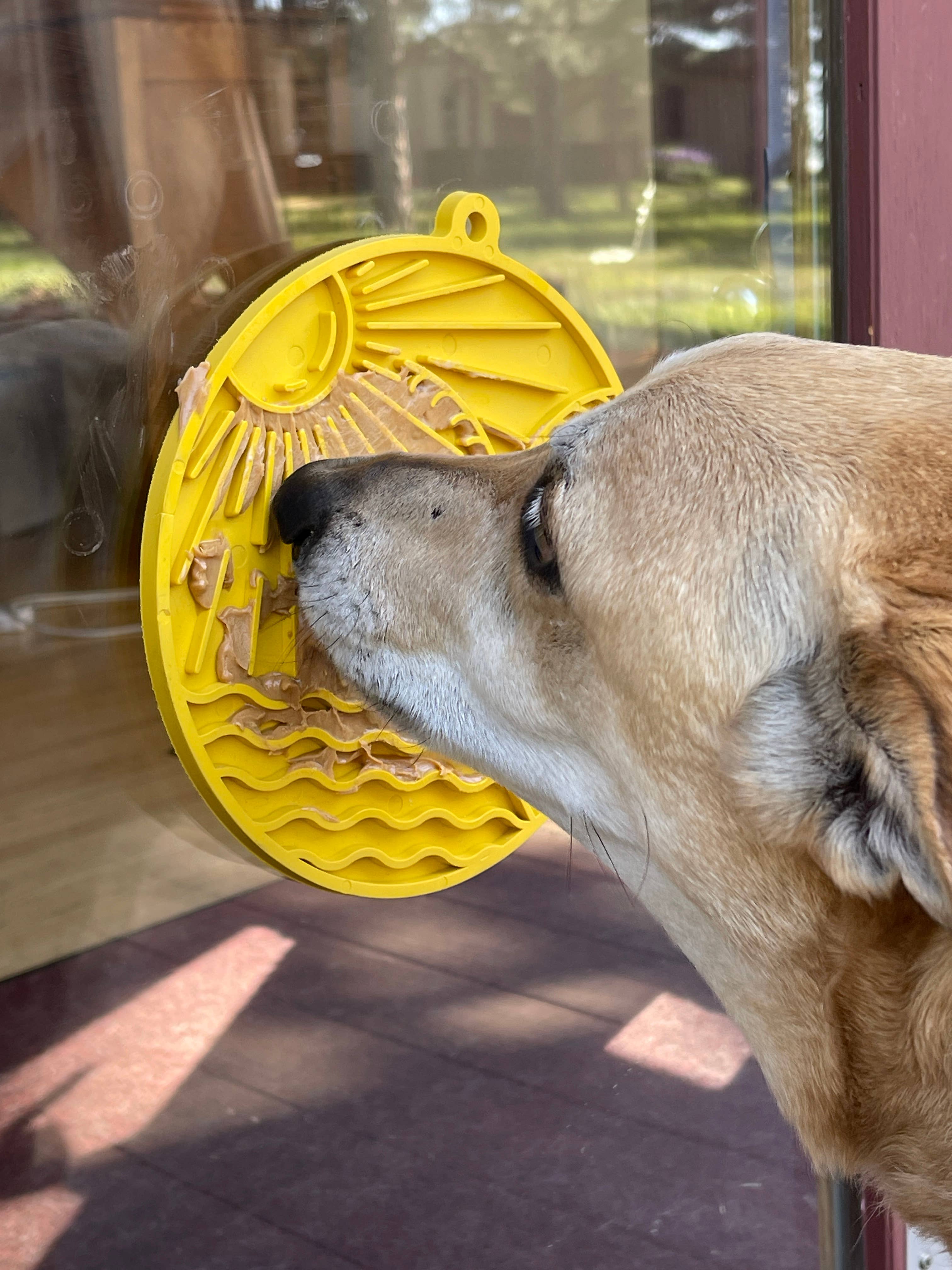 SodaPup - Sun n' Sea eMat Enrichment Lick Mat With Suction Cups