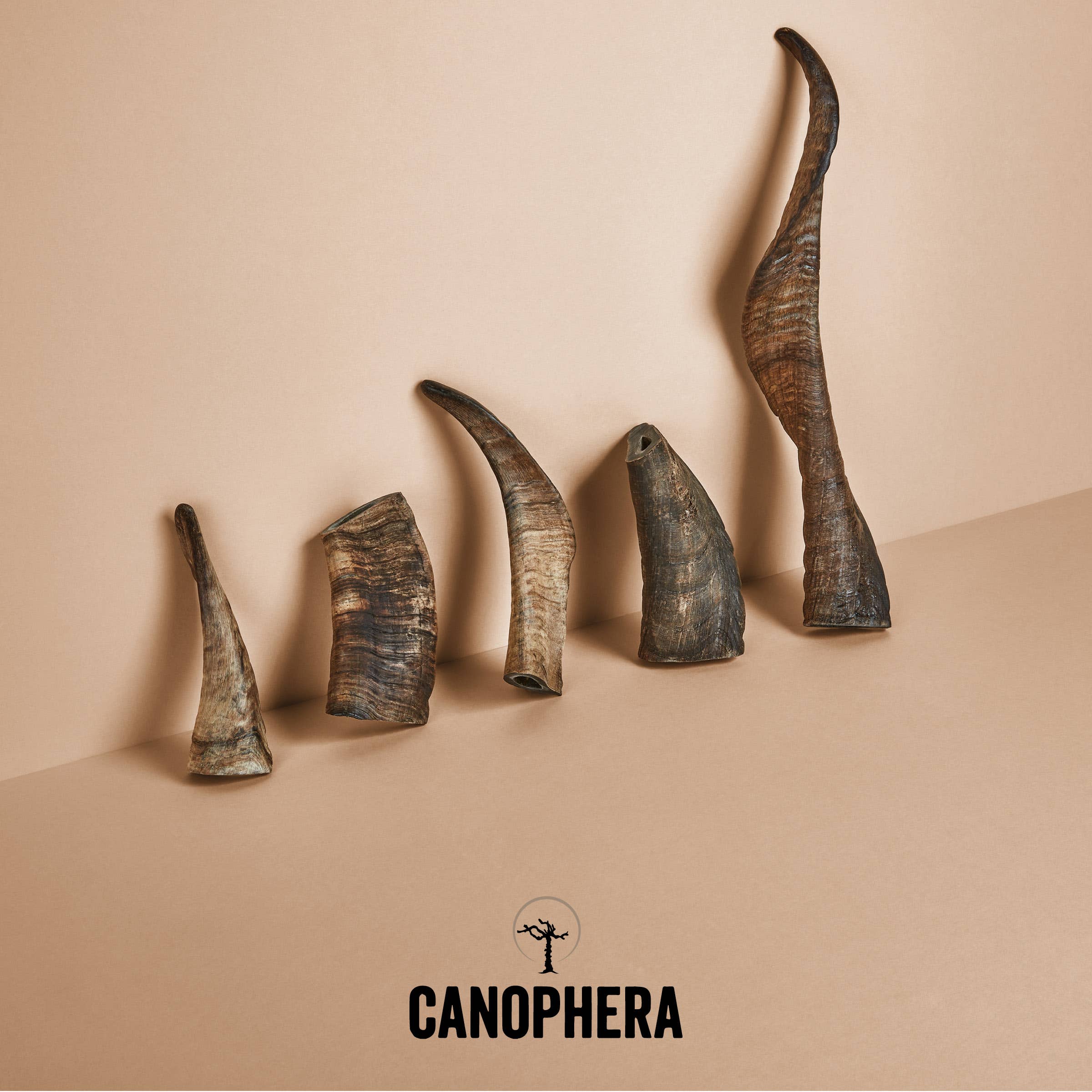 CANOPHERA LLC - Dog Chew Made of Sheep Horn