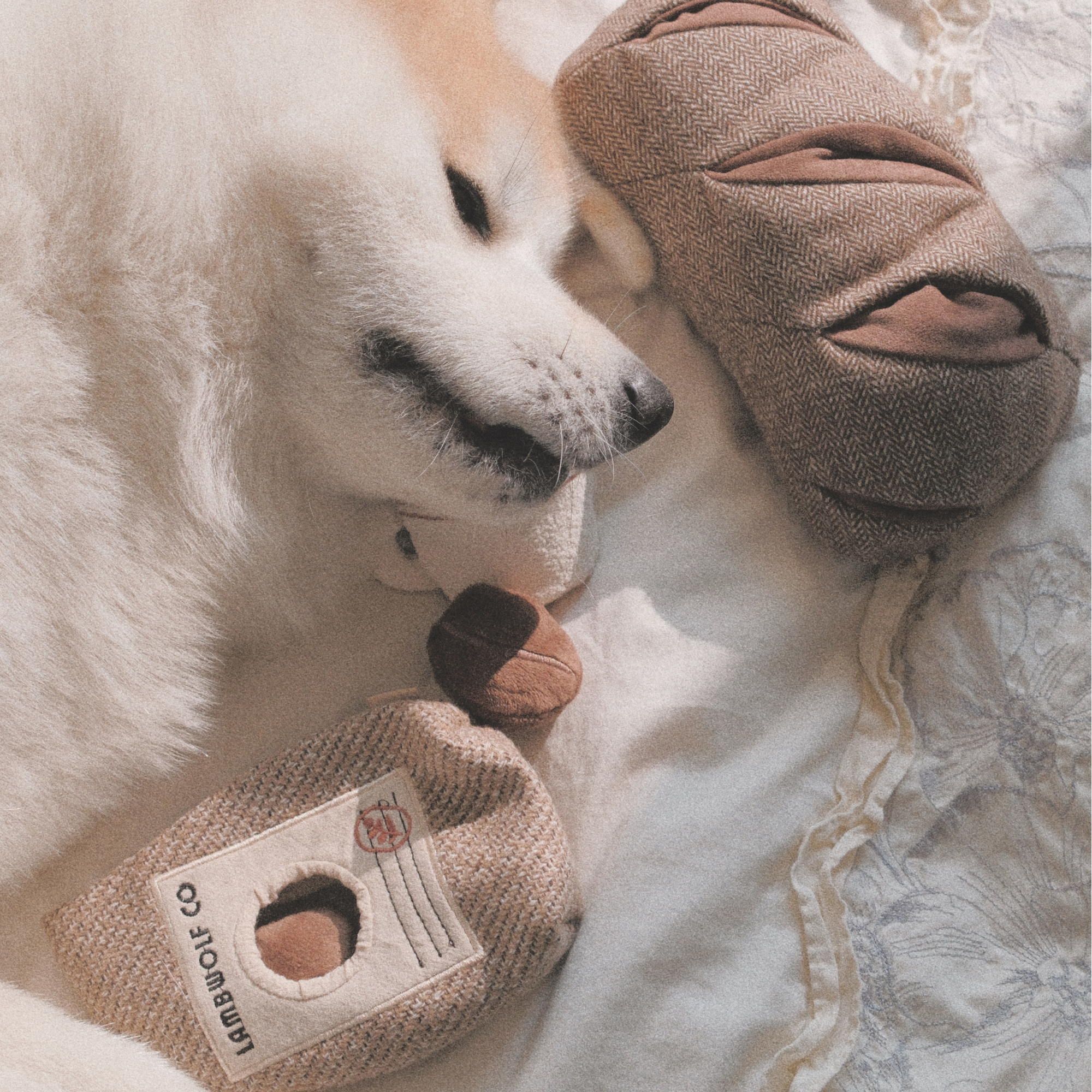 Lambwolf Collective - Coffee Beans//ENRICHMENT DOG TOY