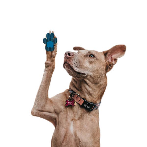 BRIGHT IRIS - Silicone Dog Paw Protector