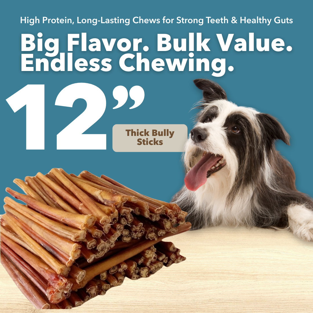 Mighty Chewz - 12" Thick Bulk Bully Sticks