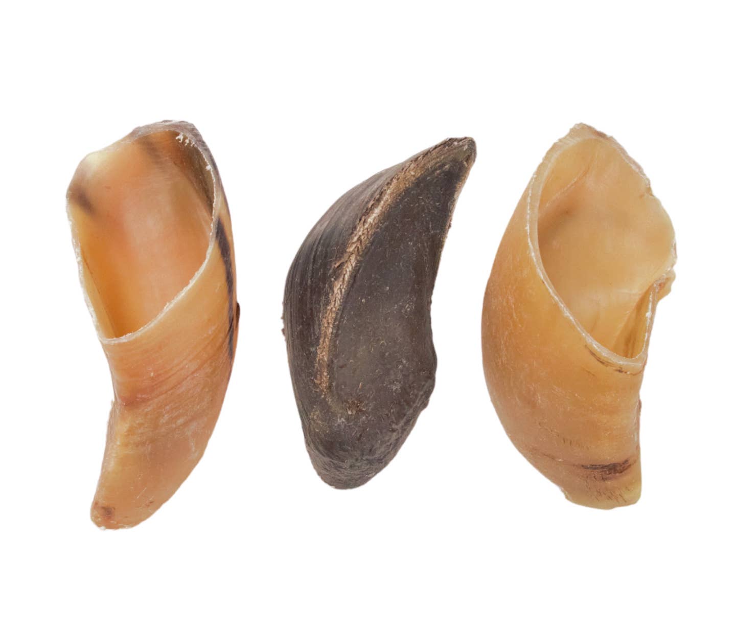 Jojo Modern Pets - All-Natural Cow Hooves Dog Chews (25/case)