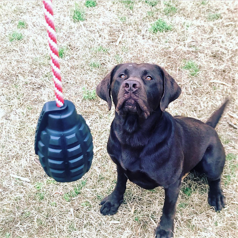 SodaPup - USA-K9 Magnum Grenade - Chew Toy - Reward Toy - Black