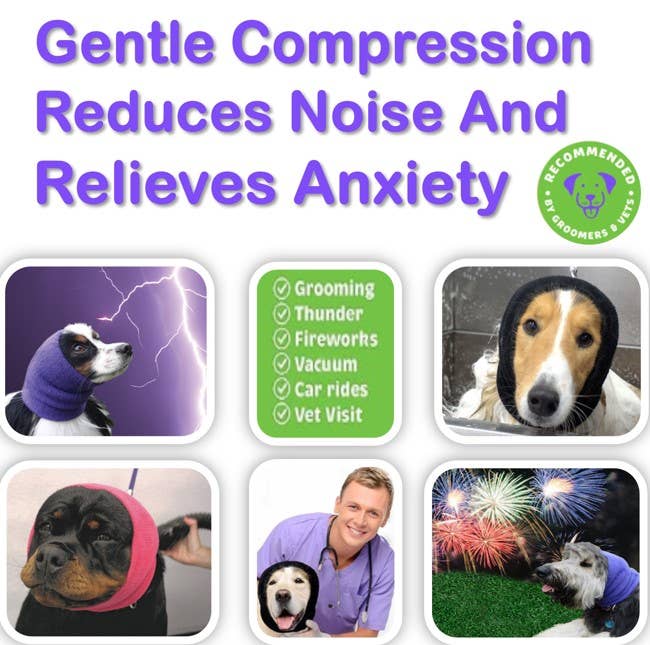 Pet Palette Distribution - Happy Hoodie Set Contains 1 Large Black, 1 Small Black