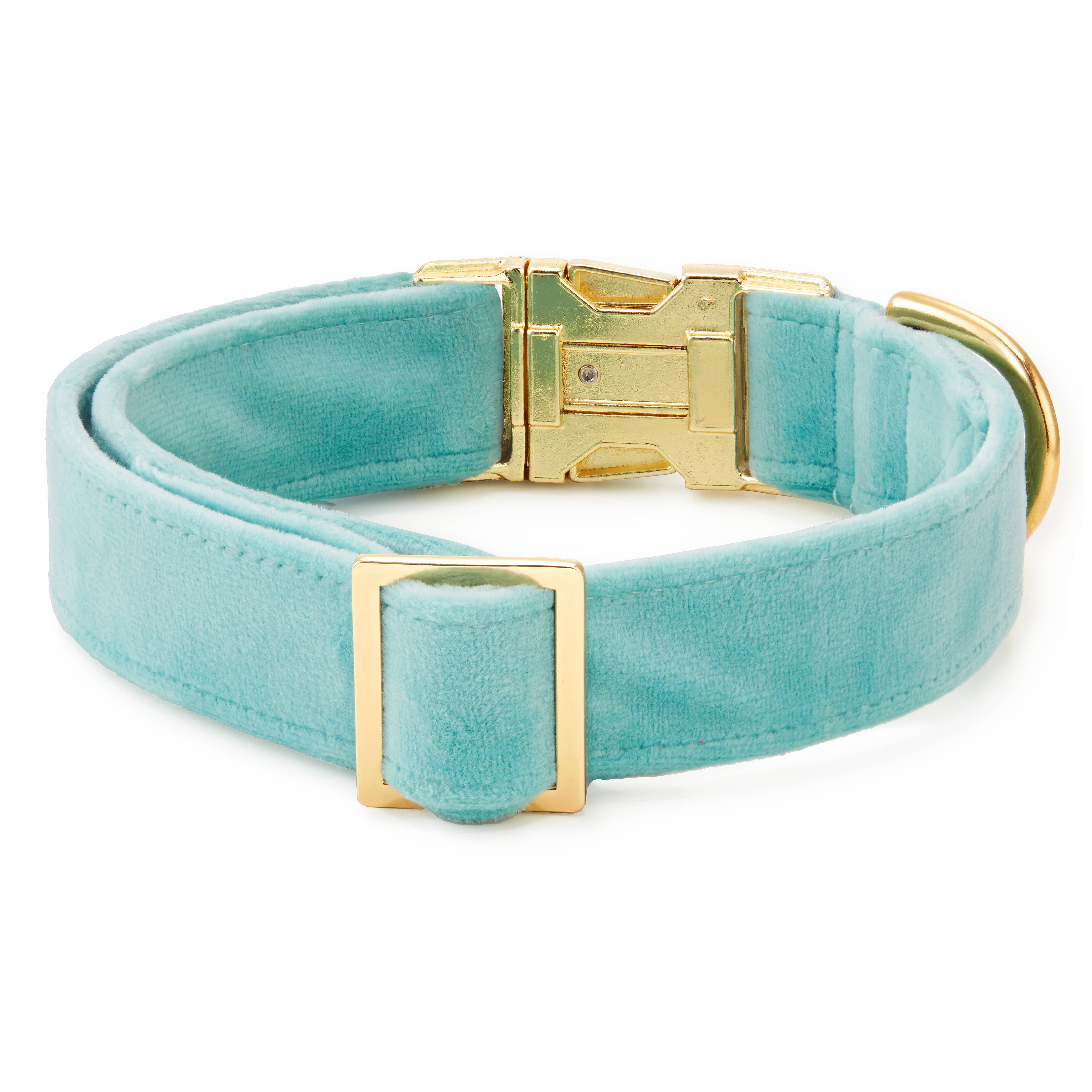 The Foggy Dog - Robin's Egg Blue Velvet Dog Collar