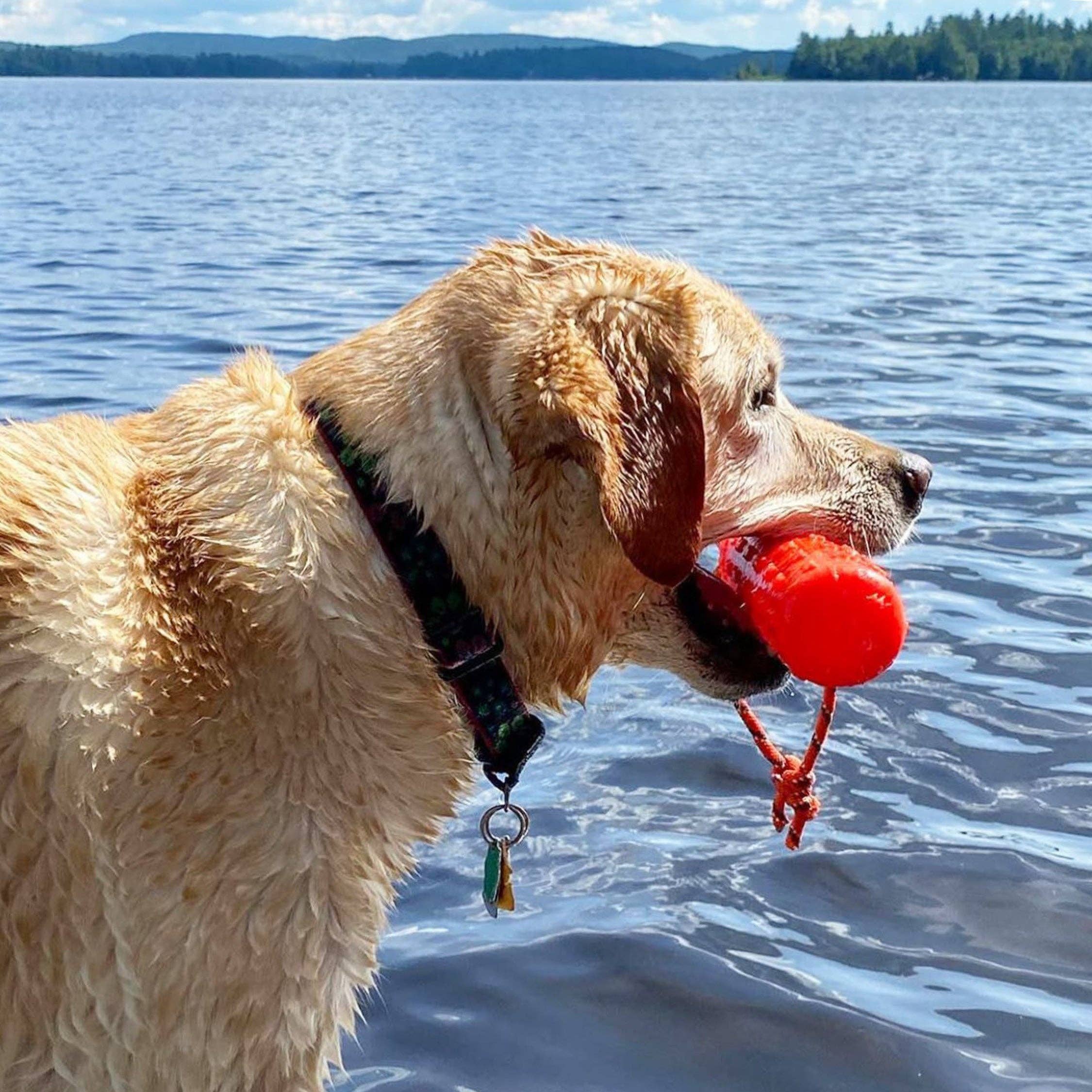 Katie's Bumpers - Best KB Original Bumper Dog Fetch Toy