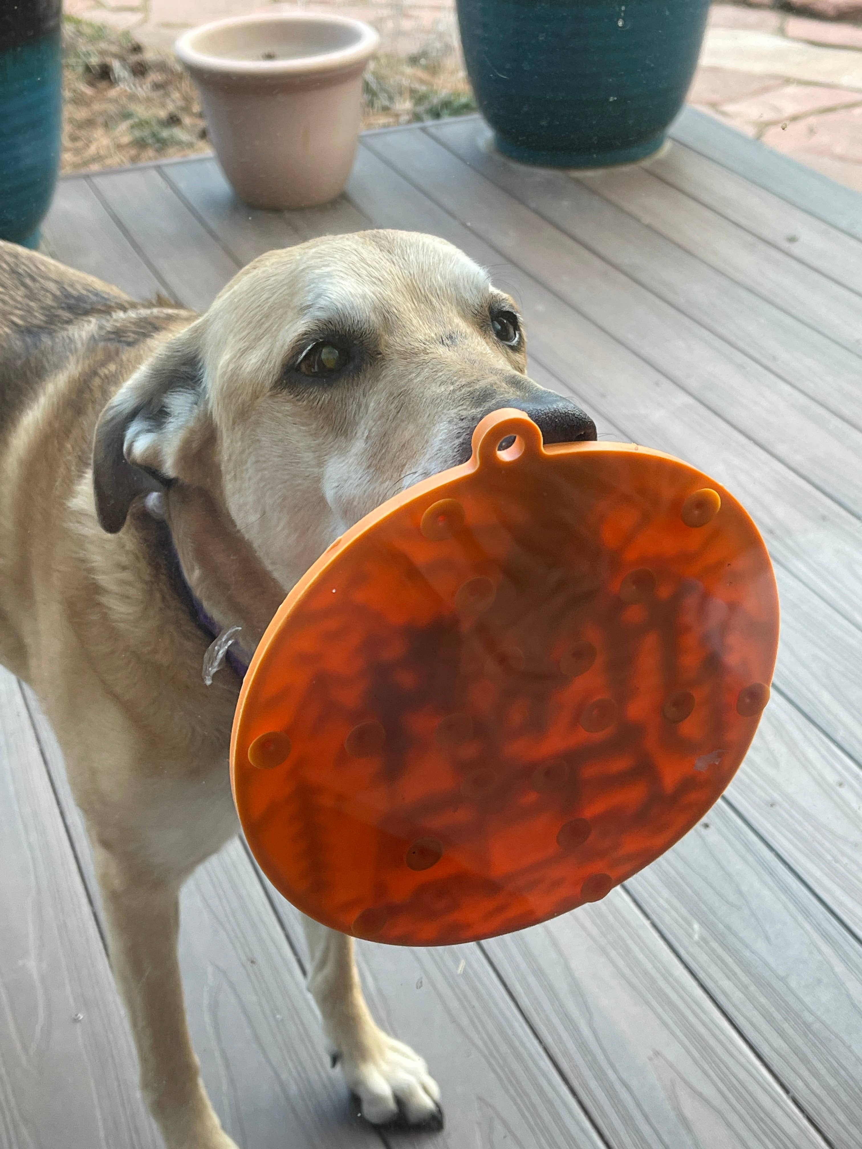 SodaPup - Camp eMat Enrichment Lick Mat With Suction Cups