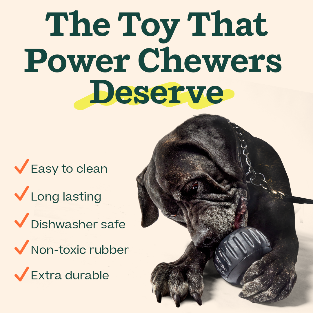 Woof - The 'Power Chewer' Pupsicle