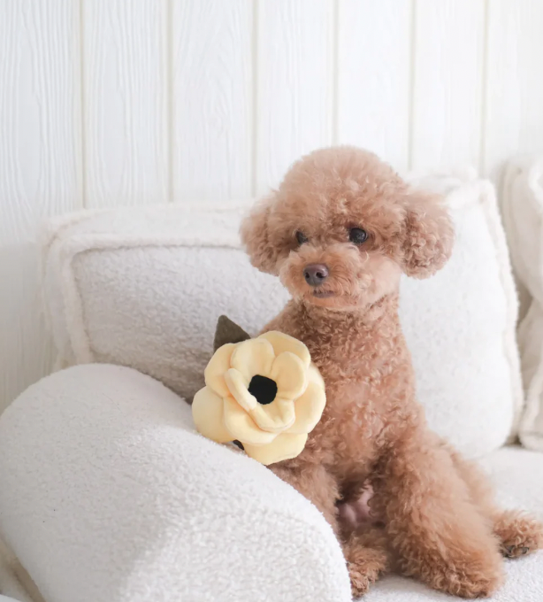 Lambwolf Collective - Poppy Dog Toy