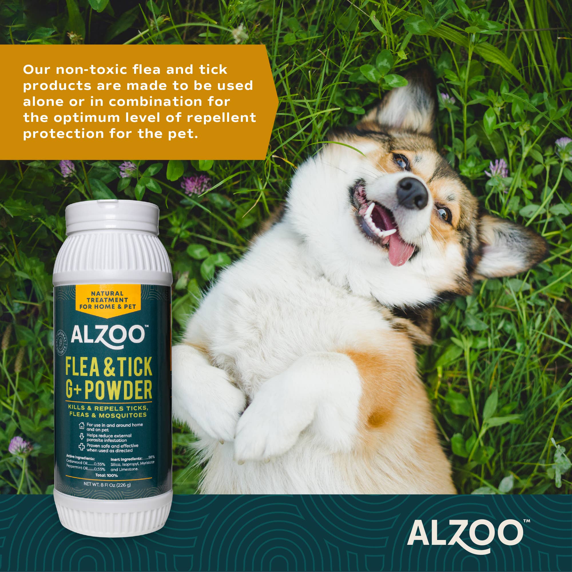 ALZOO flea and tick powder ad with happy dog and product description.