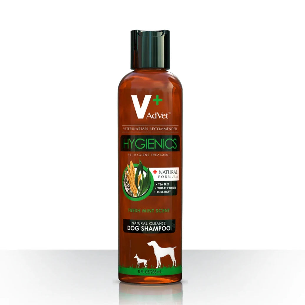 One bottle of natural dog shampoo