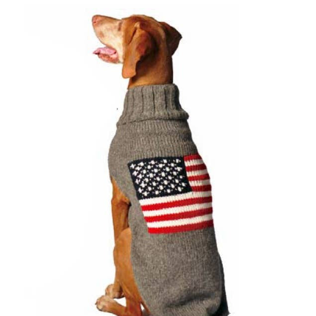 Dog wearing a gray sweater with an American flag pattern on a white background.