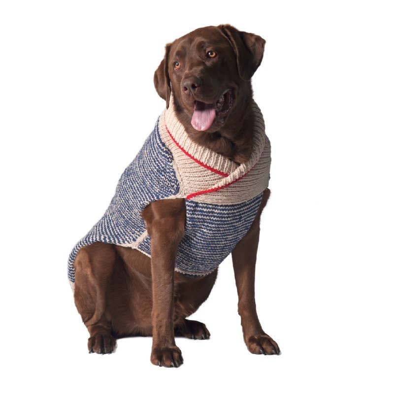 Dog wearing a striped wool sweater on a white background.