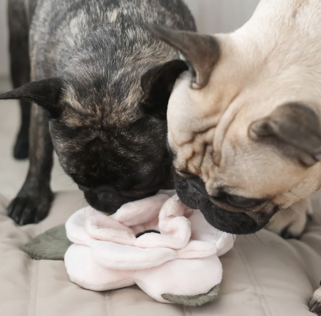 Lambwolf Collective - Poppy Dog Toy