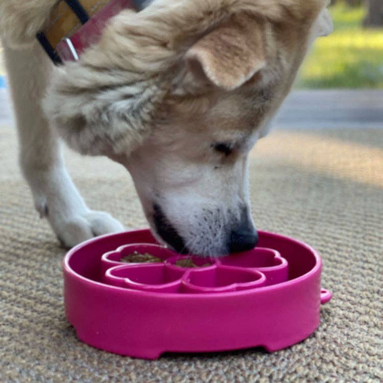 A dog eating from a pink slow feeder bowl with a flower design in the middle made of six separate compartments for food/treats.