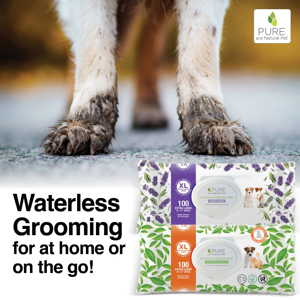 Dog paws with a box of Pure and Natural Pet wipes on a wet surface.