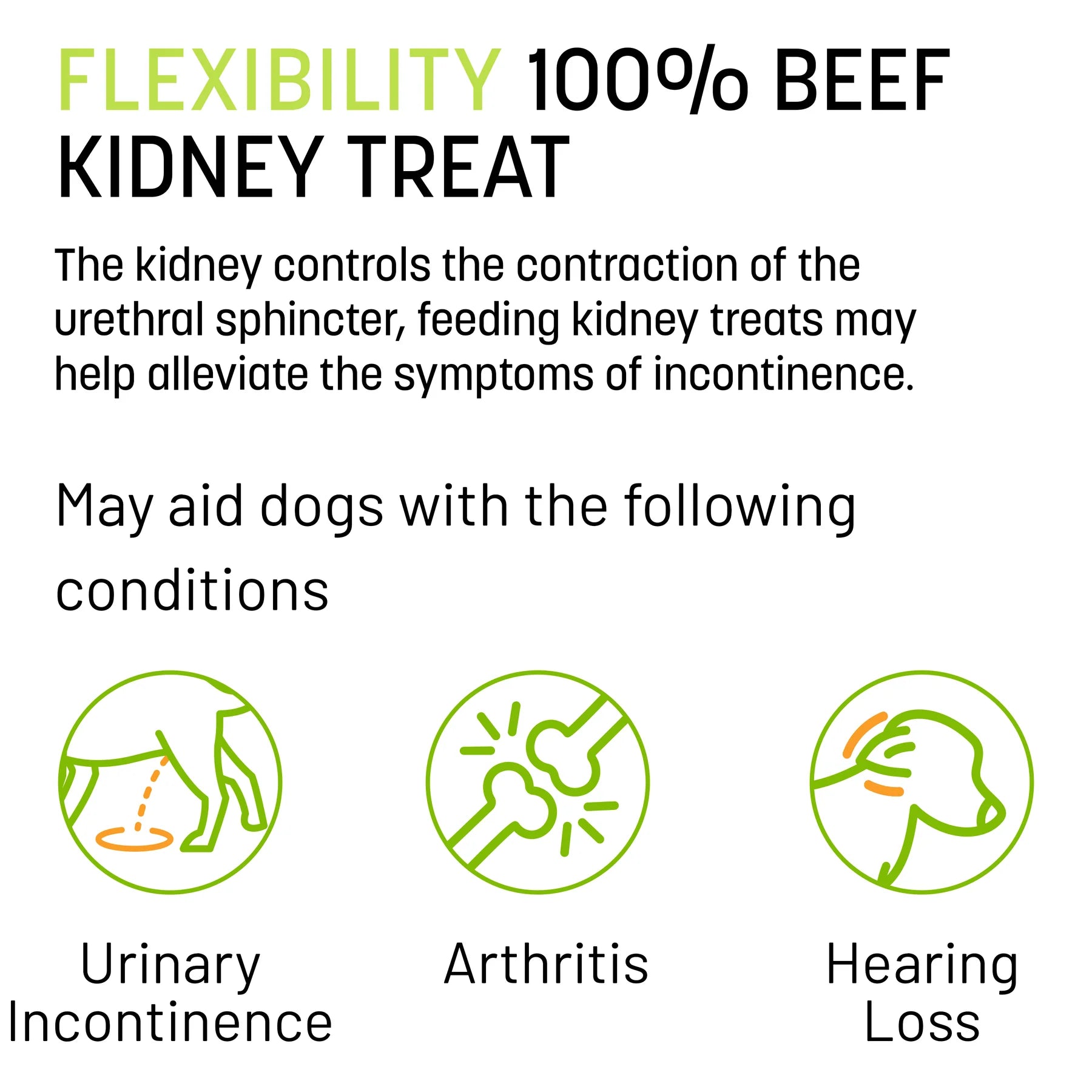 Your dog's Freeze Dried Beef Kidney Balance