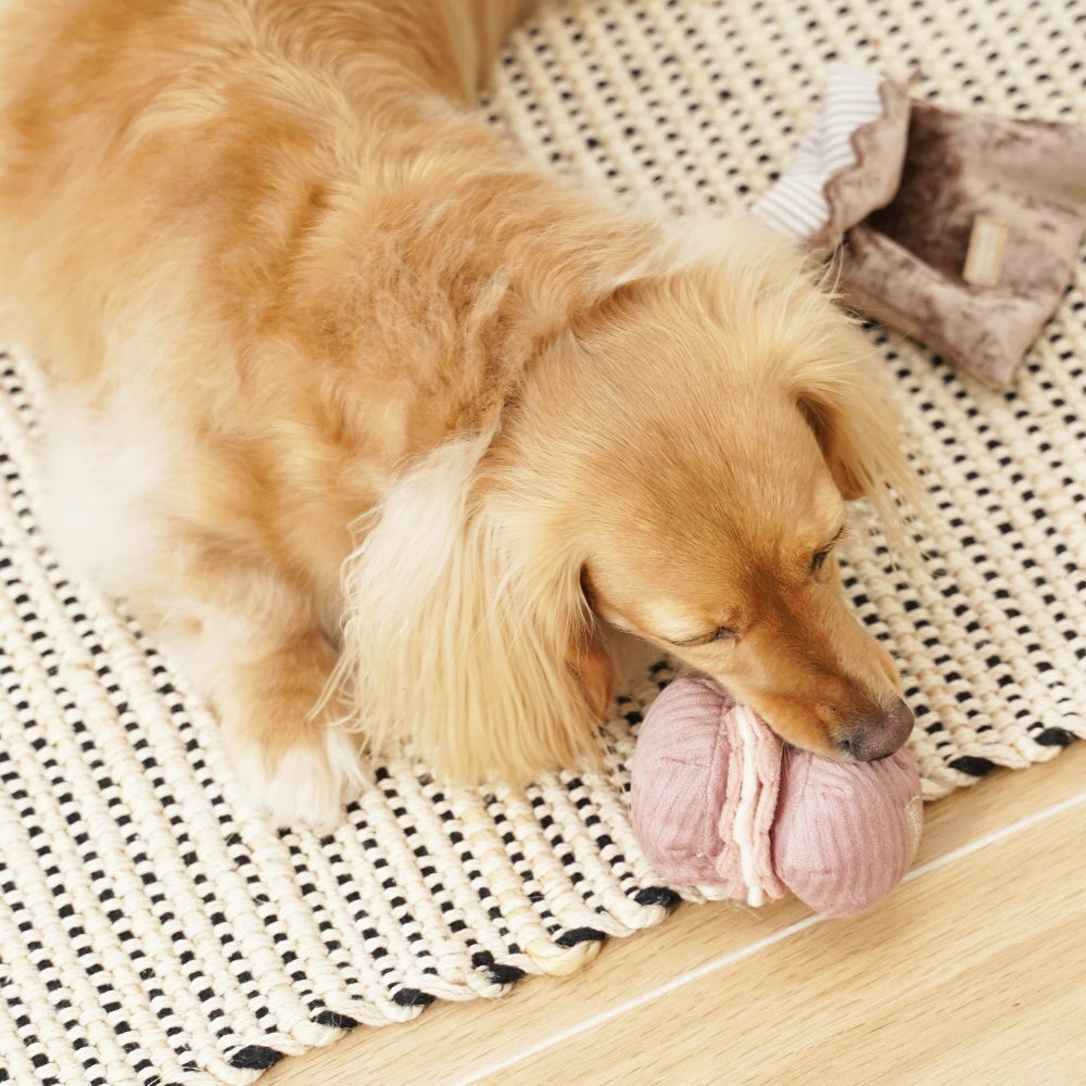 Lambwolf Collective - PETITE TWO/ENRICHMENT DOG TOY