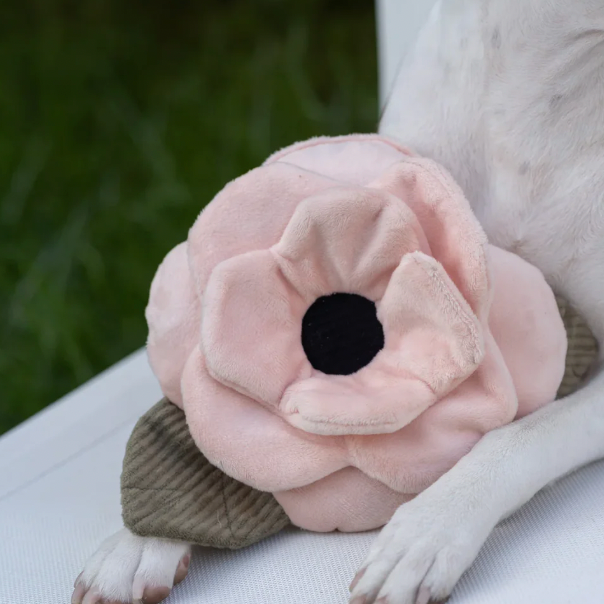 Dog playing with a pink flower-shaped squeaky snuffle toy outdoors.