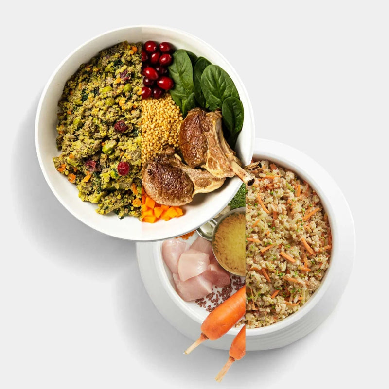 Gey Joy Fresh Frozen Dog Food - Single Meals