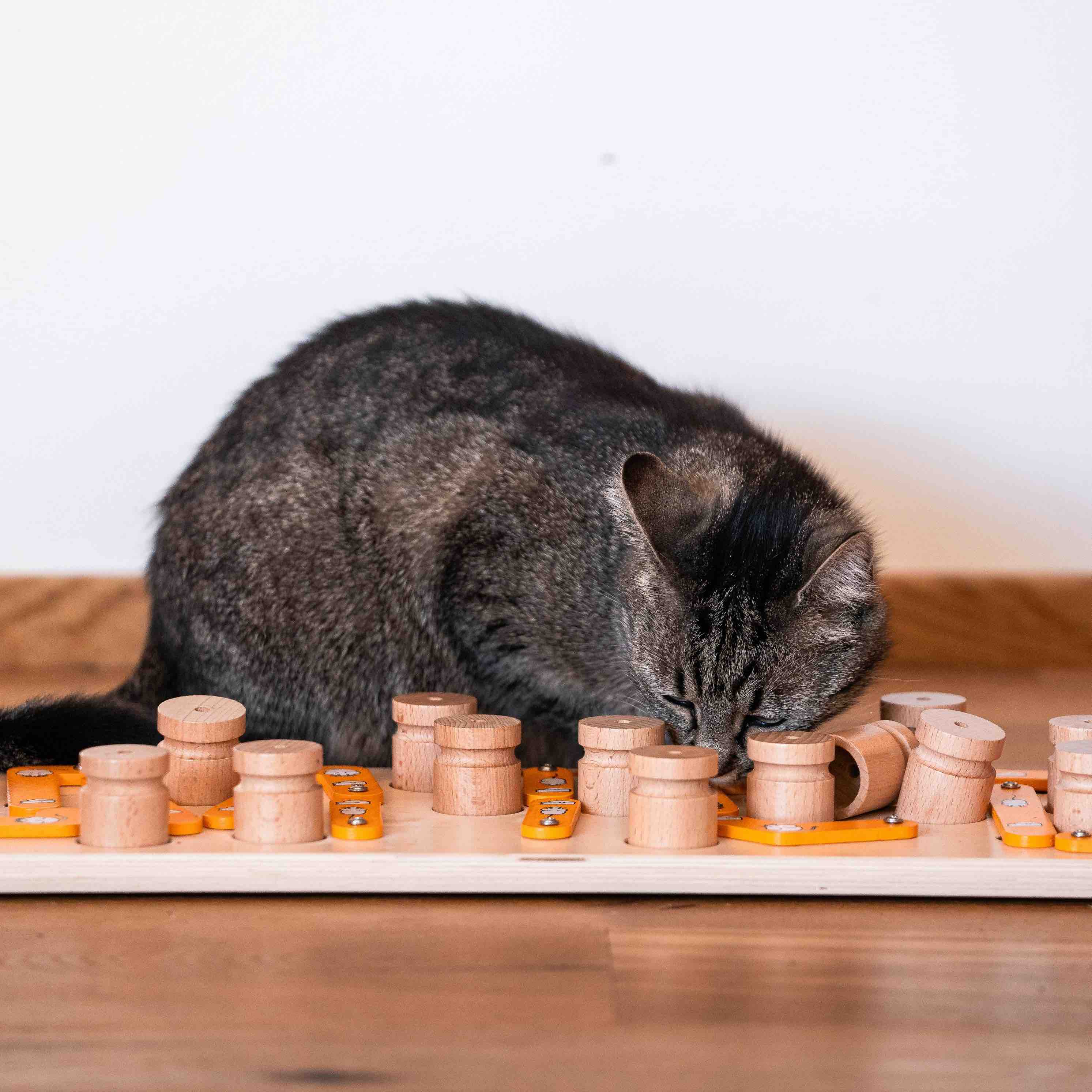 Cat playing with a wooden puzzle toy on a wooden floor.