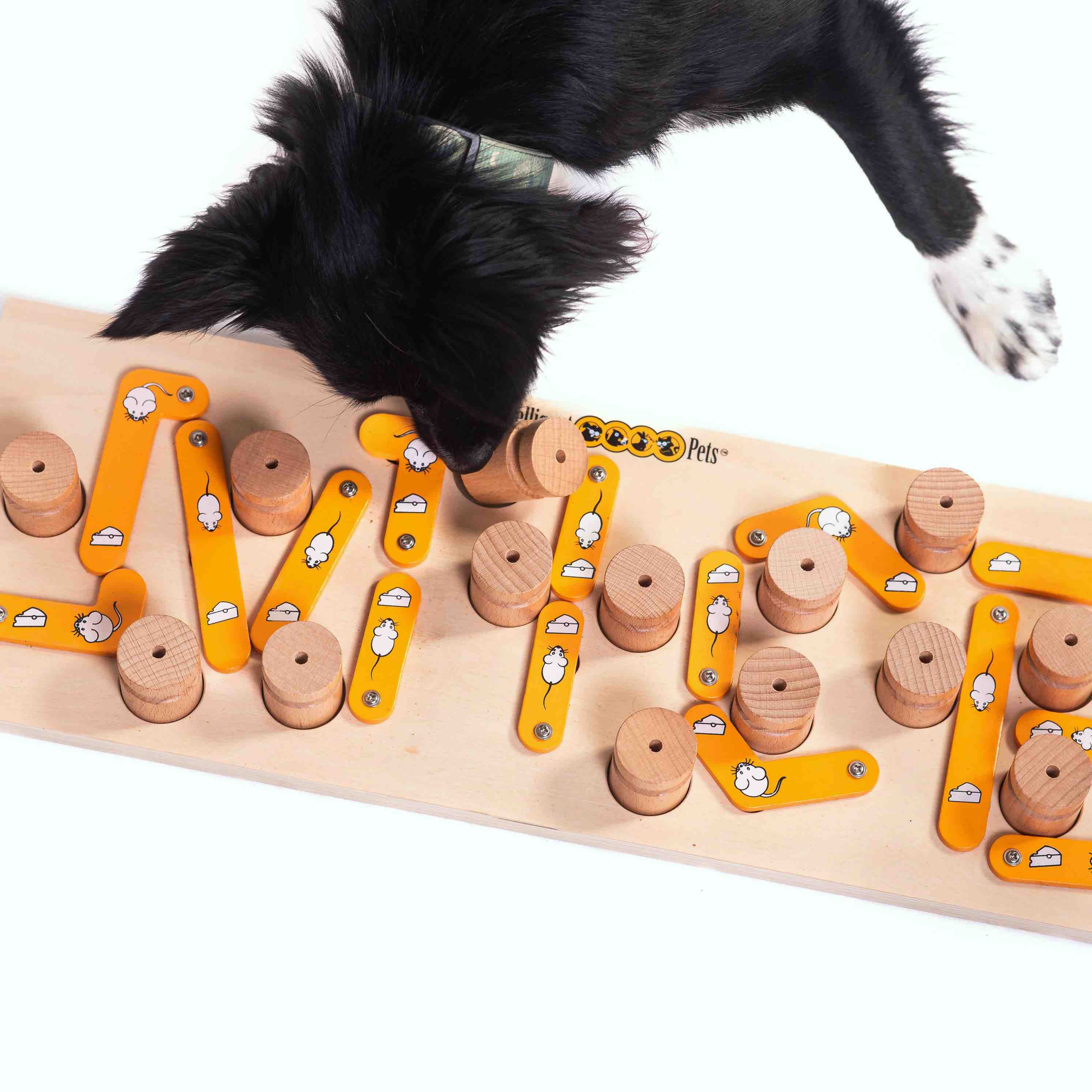 Dog interacting with a wooden puzzle toy on a white background.