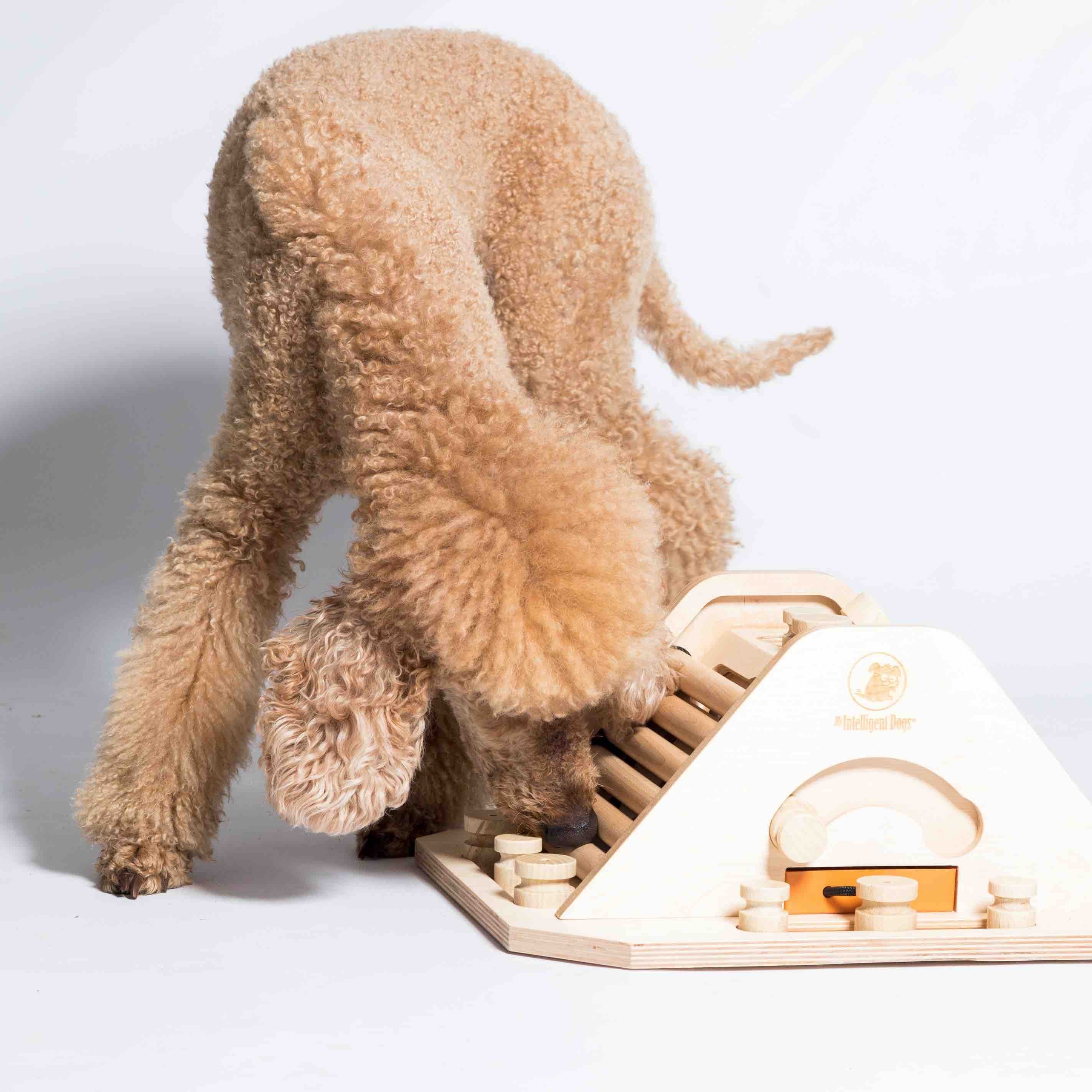 A dog playing with a wooden pyramid puzzle toy.