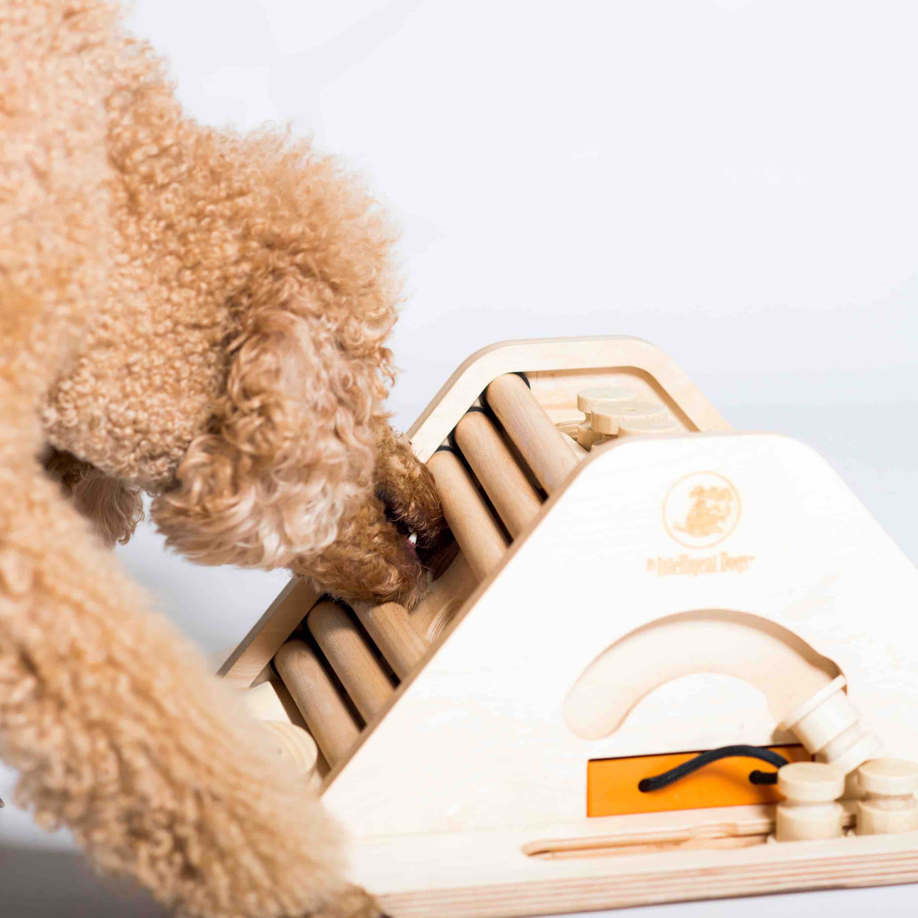 A dog sniffing out a treat hidden in his wooden pyramid puzzle toy.