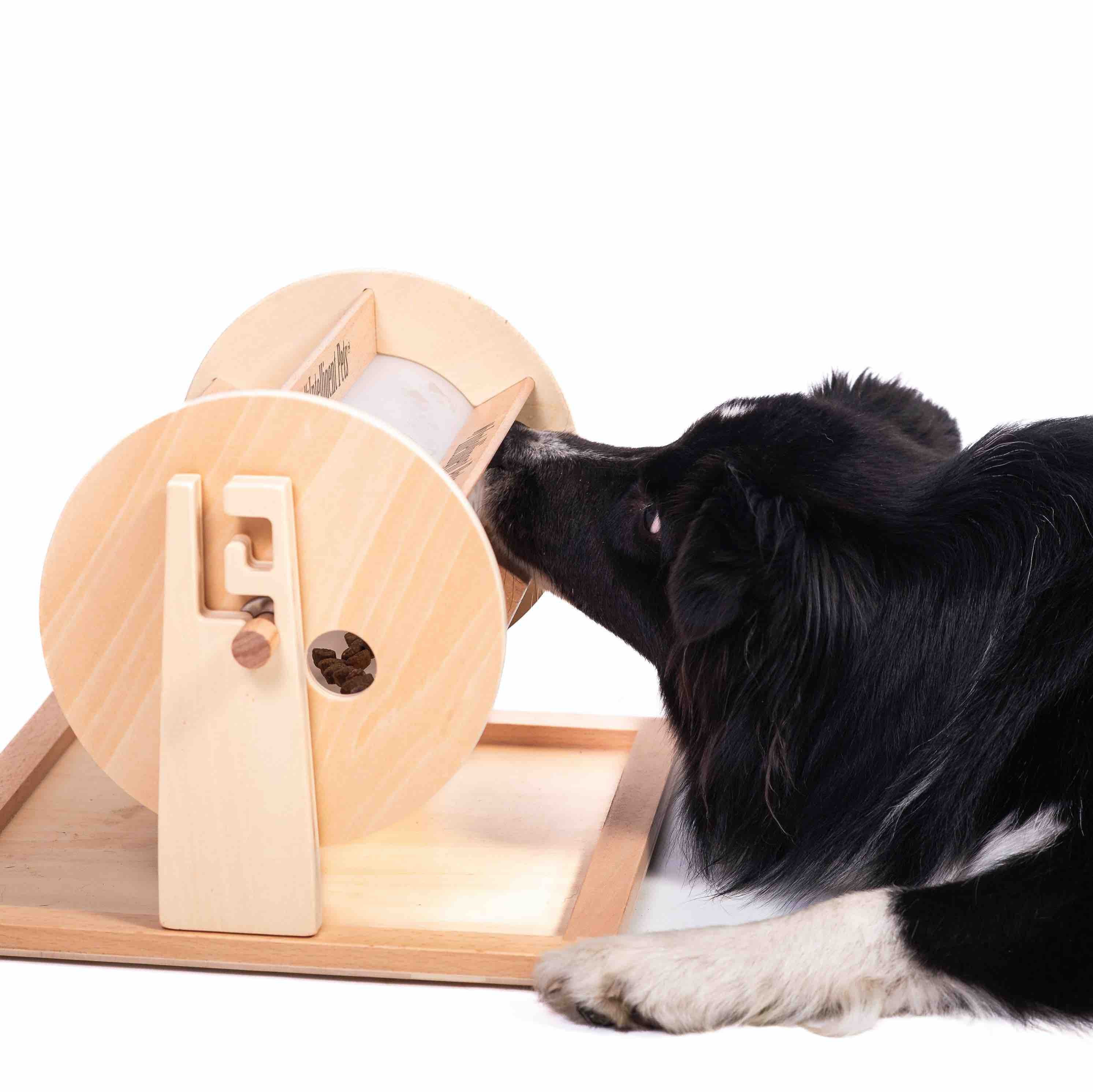 Dog interacting with a wooden, treat dispensing, puzzle toy on a white background.