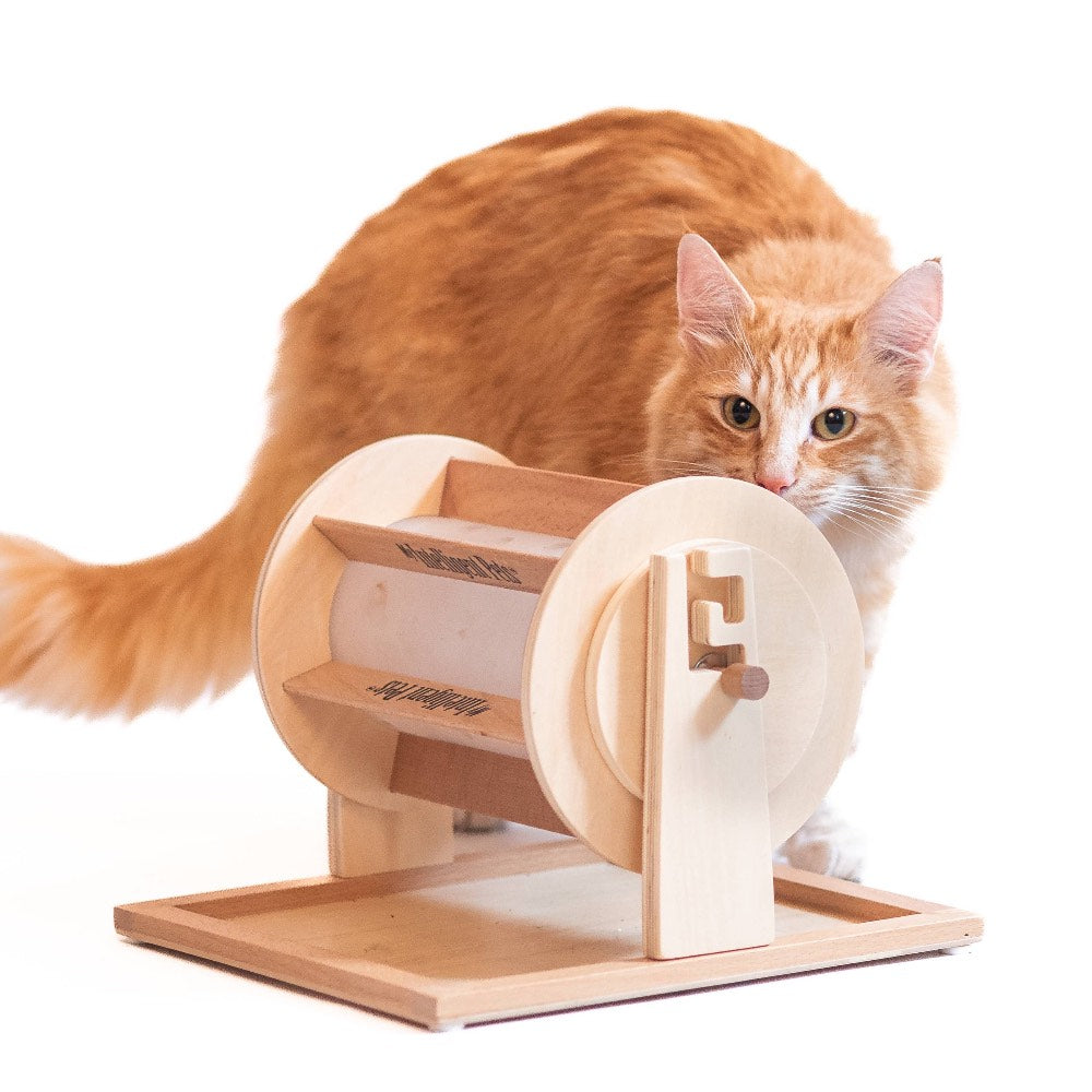 Orange cat interacting with a wooden treat dispensing cat toy on a white background.