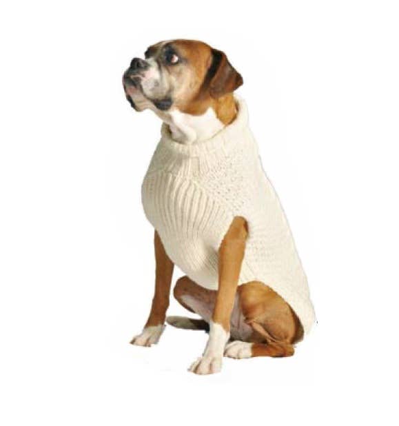 Dog wearing a white sweater on a white background