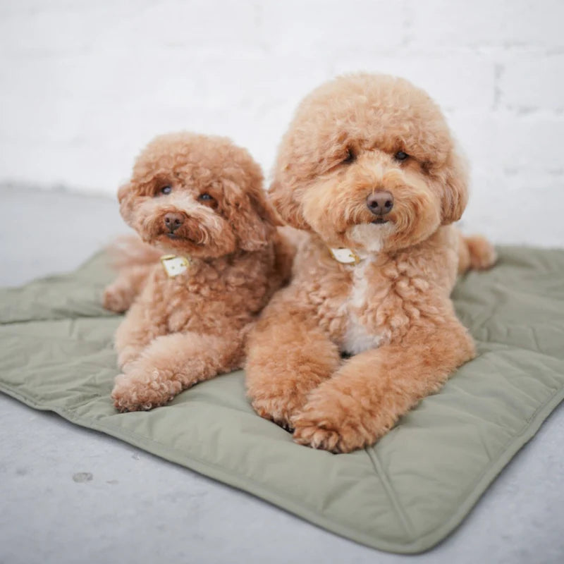Lambwolf Collective - ORII Ultralight Pet Travel Mat