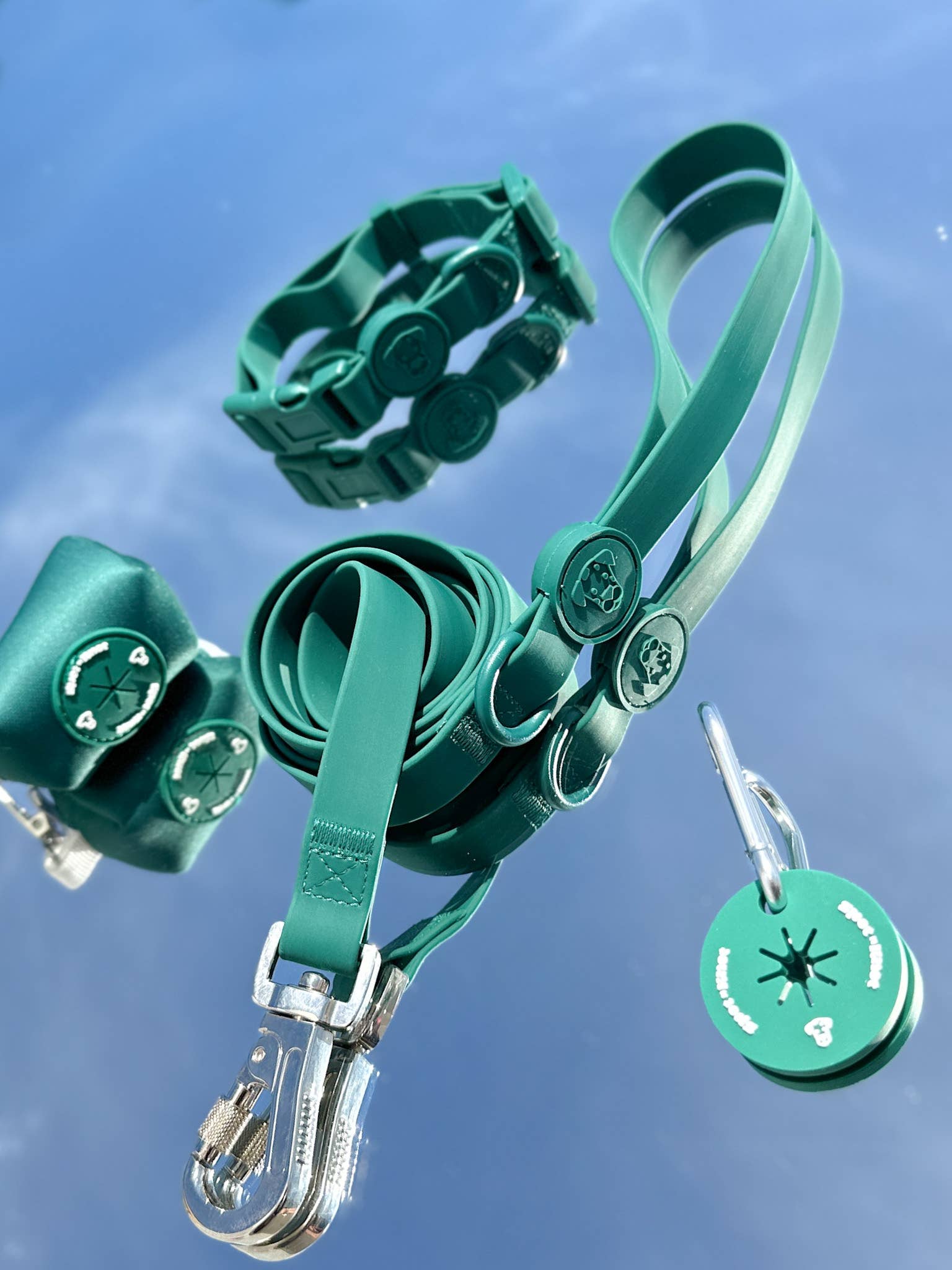 Green dog leash, collar, poop loop, poop bag holder and clip set against a blue, reflective background.