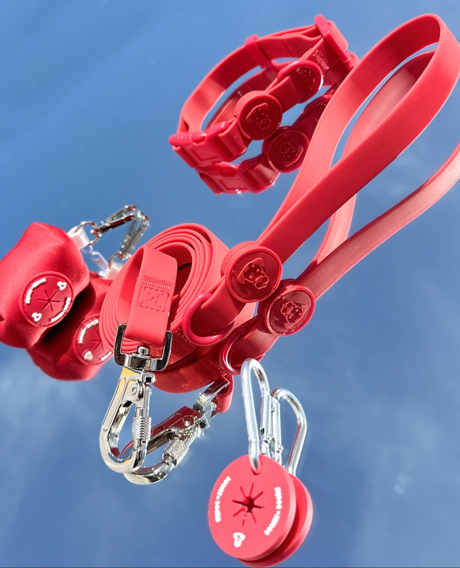 Red dog leash, collar, poop loop and pop bag holder against a reflective, blue sky background.
