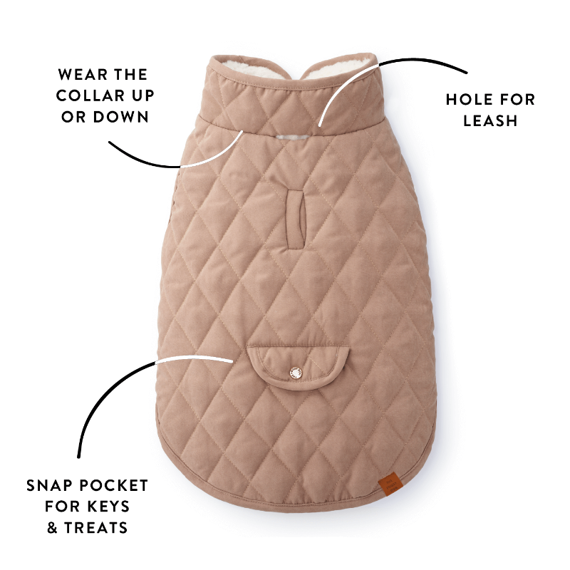 Quilted dog coat with features labeled on a white background