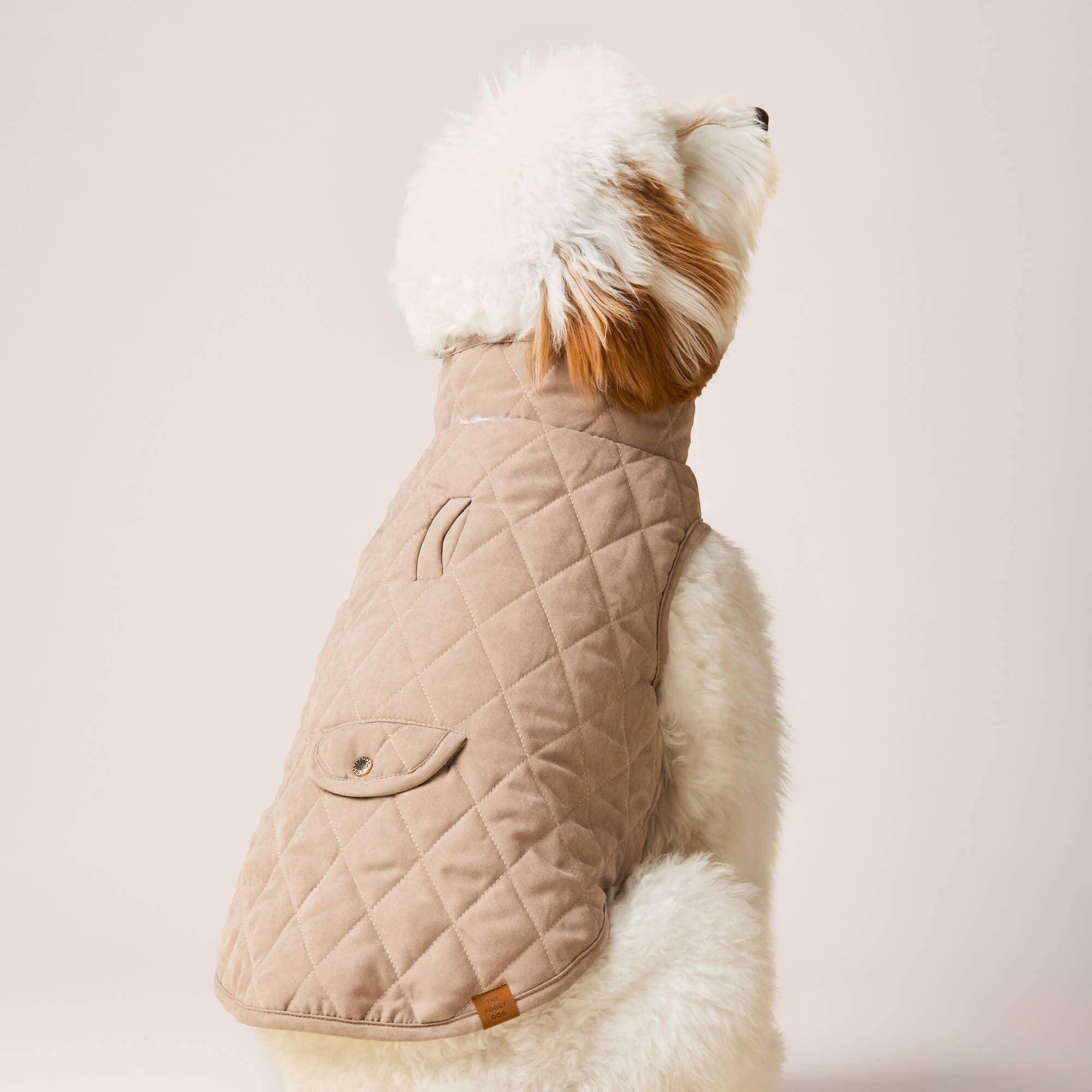 Dog wearing a beige quilted coat with a white fur-lined hood on a light pink background