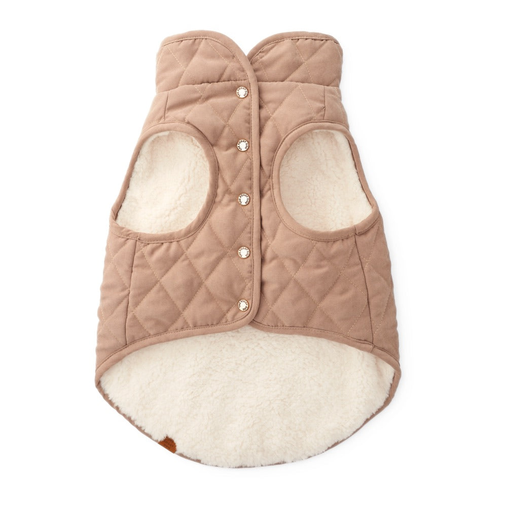 Quilted dog vest with button closure on a white background