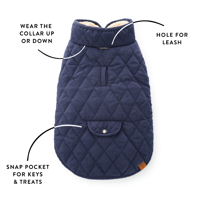 Navy quilted dog coat with features labeled on a white background