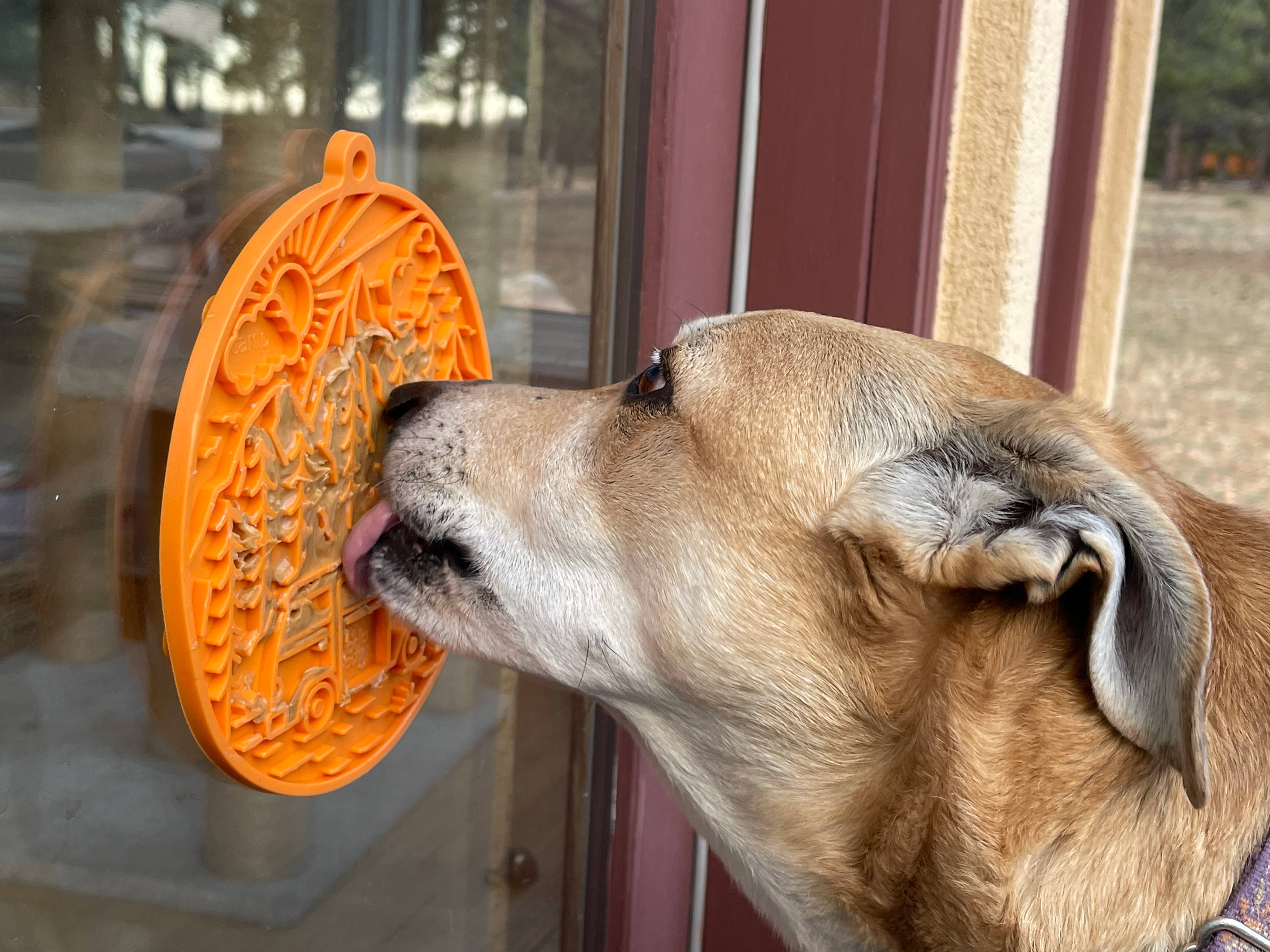 SodaPup - Camp eMat Enrichment Lick Mat With Suction Cups