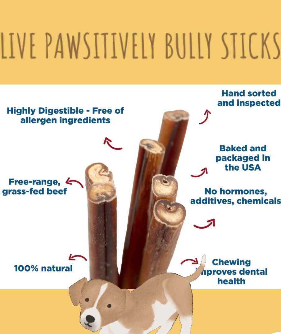 Live Pawsitive - 6 Inch Jumbo Bully Sticks 3 Pack