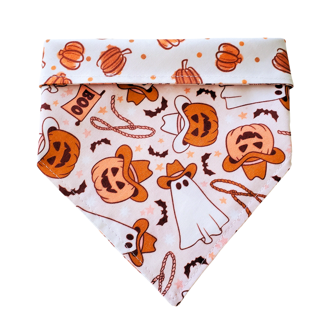 Charlie & the Hound - Cowboy Ghost - Reversible Dog Collar Bandana