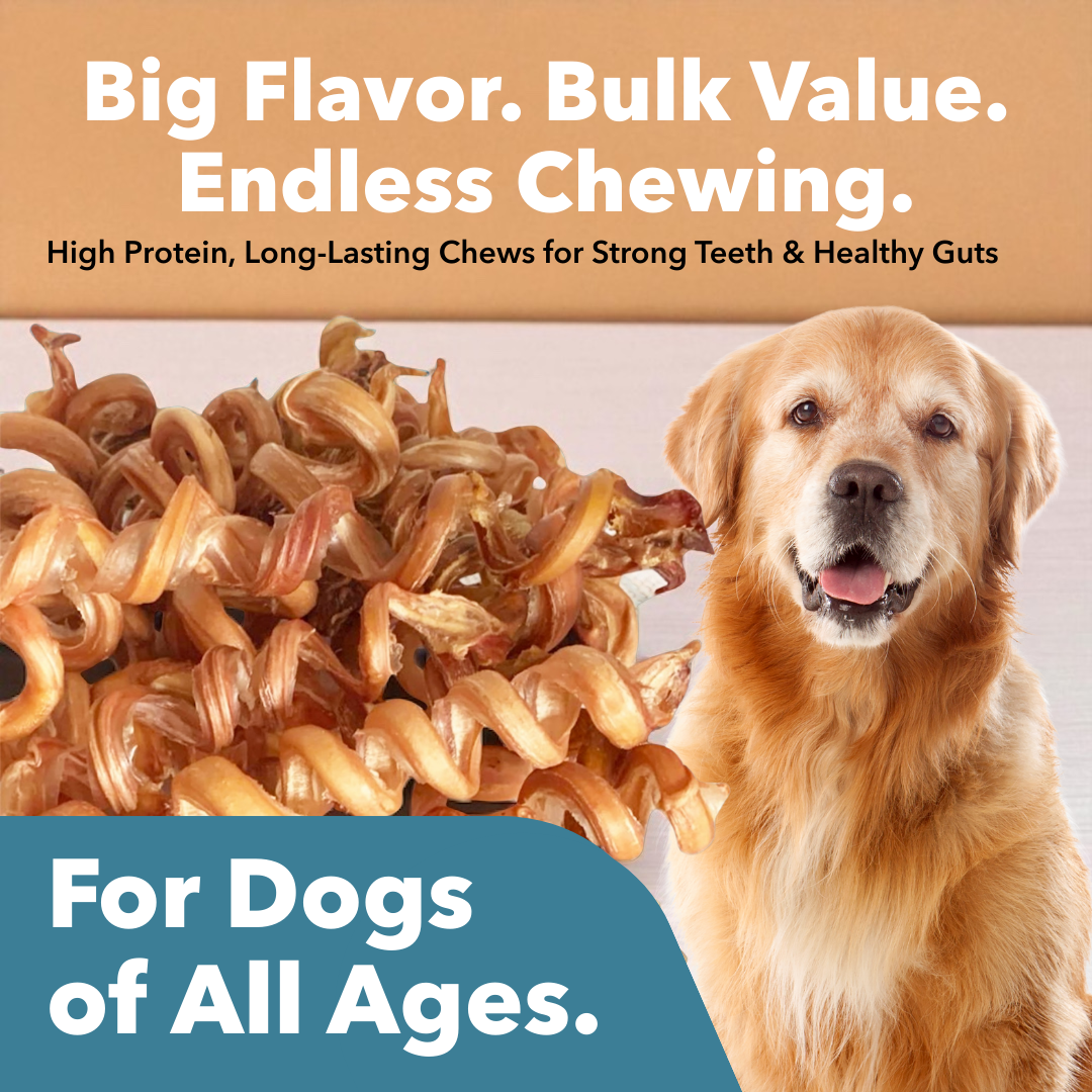 Mighty Chewz - 6-9" Bulk Bully Springs